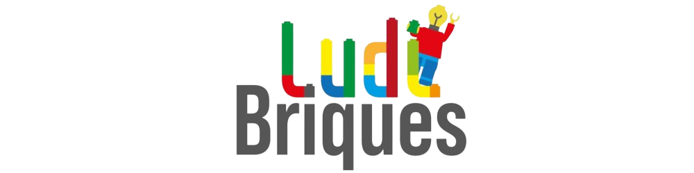 logo footer Ludi Briques
