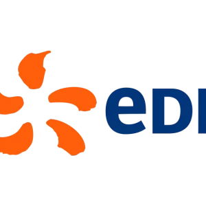 Logo du groupe EDF, partenaire de nos ateliers LEGO entreprise à Lyon.